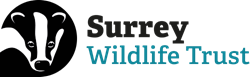 Logo: Surrey Wildlife Trust