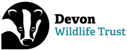 Logo: Devon Wildlife Trust