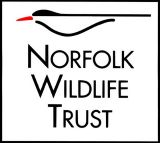 Logo: Norfolk Wildlife Trust