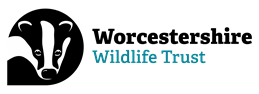 Logo: Worcestershire Wildlife Trust