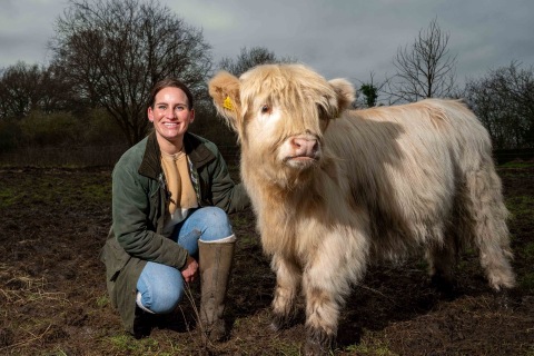 From Hospital Wards to Highland Heifers: My Journey into Farming