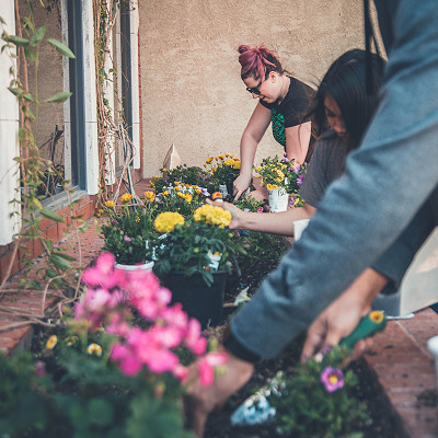 people planting up a window box (image: Neobrand on Unsplash)