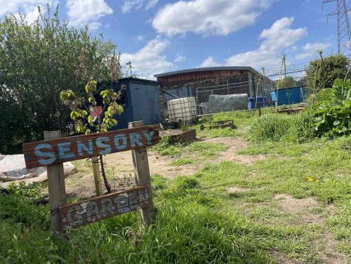 Green Community Hubs: Spaces where communities take root
