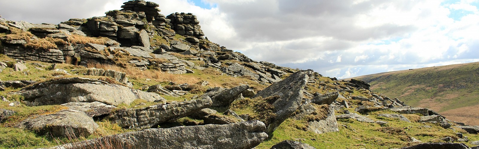 Dartmoor (image: pixabay)