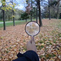 hand holding a magnifying glass in woodland (image: Kevin Ramirez / Pixabay)